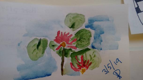 Watercolour of water lilies from my daily practice
