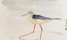 Shorebird in watercolour