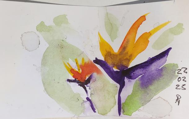 Watercolor of a bird of paradise flower